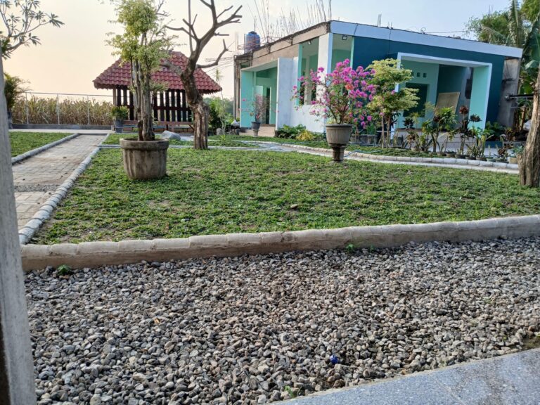 WhatsApp Image 2025-10-18 at 16.23.09